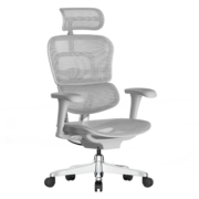 保友办公家具（Ergonor） 金豪b 2代 人体工学椅 电脑椅 电竞椅 办公椅子 老板椅可躺座椅 银白网(Q3.0)
