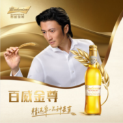 直降￥30！Budweiser 百威 金尊啤酒 500ml*12瓶