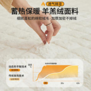 88VIP会员：南极人 加厚保暖羊羔绒床垫软垫床上用品居家榻榻米床海绵垫被