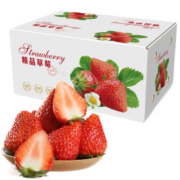 鲜程祥合 红颜99草莓 2.5斤装 单果30-50g*2件