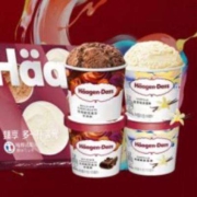 京东百亿补贴：Haagen-Dazs 哈根达斯 冰淇淋礼盒装 (香草味*2/比利时巧克力*2) 100ml*4