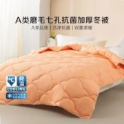 BLISS 百丽丝 加厚磨毛七孔抗菌加厚冬被床上用品被芯150*210cm