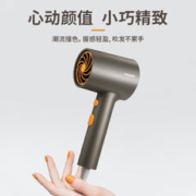 PHILIPS 飞利浦 吹风机 BHD321/05 黑金筒
