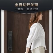 DESSMANN 德施曼 Q3P 双锂电门锁