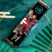 FANXIANG 梵想 国潮系列 S500 PRO NVMe M.2 固态硬盘 512GB（PCI-E3.0）