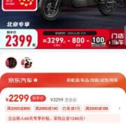 小牛电动 G100新国标电动自行车 锂电池 两轮电动车 黑色