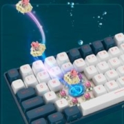 Royal Axe 御斧 R100 98键 2.4G蓝牙 多模无线机械键盘 鲸落深海 TTC二代金粉轴 RGB