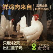 88VIP会员：YANXUAN 网易严选 网易天成 生骨肉冻干三拼全阶段猫粮