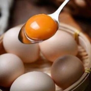 京喜特价：惠寻 柴鸡蛋 4枚装 初生蛋 140g
