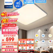 PHILIPS 飞利浦 客厅灯LED吸顶灯现代简约客厅卧室 怡轩灰 55W9290025367A