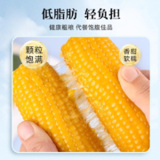 9日10点、限3000件、聚划算百亿补贴：东北黏糯玉米棒8支 新货真空包装黄苞米现摘新鲜甜玉米粒粘非即食