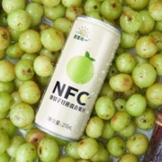 康之味 NFC油柑汁潮汕油柑刮油饮料原榨果汁玉油柑汁8瓶整箱饮品