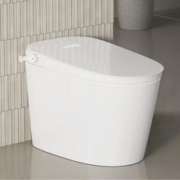 3.8焕新、家装季：R&T 瑞尔特 UX7 智能马桶一体机 305/400mm坑距