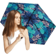 蕉下（beneunder）太阳伞防晴雨两用遮阳伞女户外折叠伞轻巧便携 【五折】繁叶