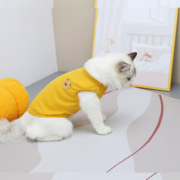 猫咪之家 宠物猫咪衣服潇洒熊T恤小狗小猫宠物服饰休闲春夏款猫狗衣服 黄色 2XL