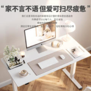 京东PLUS：Loctek 乐歌 E2S/E2-Lite 电动升降电脑桌 白腿+原木 1.2*0.6m桌板