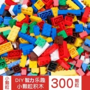 鼎娃 积木大小拼装玩具 300颗粒