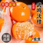 誉福园广西武鸣沃柑5斤