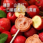 拍一发二 口水芽儿儿童山楂棒棒糖30支