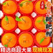 四川春见耙耙柑 9斤装 80MM+大果