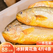 京东百亿补贴:鸿顺【冰鲜】黄花鱼4条4斤 生鲜鱼类 宁德大黄鱼 源头直发