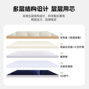 COUNT SHEEP羊羔绒床垫防螨软褥子加厚宿舍榻榻米垫被进口英伟达抗菌大豆纤维 防螨抗菌灰色厚度6cm 90*200