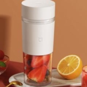 MIJIA 米家 MJZZB01PL 榨汁机 0.3L 白色