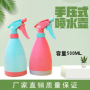 家用浇花小喷壶园艺洒水壶气压式喷雾器小型压力浇水喷雾瓶手持