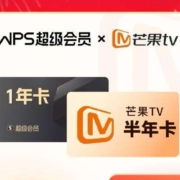 WPS联合会员 超级会员1年卡（赠7天）+芒果TV会员6个月
