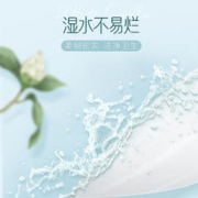 C&S 洁柔 白茶花香100抽整箱家用20包可湿水面纸