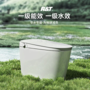 瑞尔特（R&T）智能马桶泡沫盾带水箱无水压等离子杀菌自动翻盖节水智能坐便器 智能奢享UX8（305/400坑距）