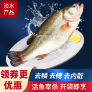 速鲜 三去开背鲈鱼 净重350-400g*3条