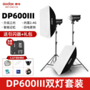 Godox 神牛 DP600III闪光灯600w三代影棚灯补光摄影灯 两灯套装(送X2引闪器+大礼包） 官方标配