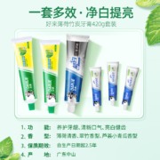 京东百亿补贴:DARLIE好来(原黑人)薄荷竹炭牙膏套装420g 清新口气 去渍亮白