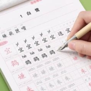 金枝叶 《小学生临摹字帖》(5年级下册）