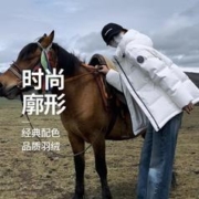 BOSIDENG 波司登 连帽时尚女式运动休闲柔和色彩百搭外套羽绒服