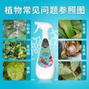 Keymado 卡纳玛朵 花病康抗菌剂喷雾多肉花卉通用炭疽白粉灰霉黑斑病防治
