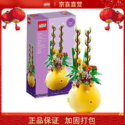 LEGO 乐高 积木限定商品别致花盆40588儿童拼插积木玩具