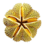 鲜惠源 泰国进口金枕头榴莲整个新鲜带壳鲜果 3-4斤榴莲鲜果包3房