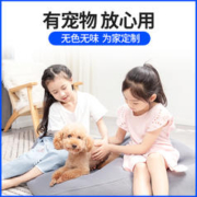 88VIP会员：虫虫战队 跳蚤药消杀跳蚤喷雾剂家用床上非无毒除防去呋虫胺杀虫剂