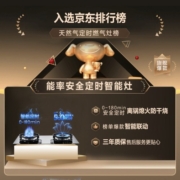 能率（NORITZ）安全定时燃气灶 离锅熄火防干烧 可调节底盘 台嵌两用5.0KW猛火灶天然气灶65%高热效率183G