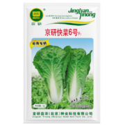 京研 奶油快菜 1克