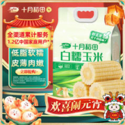十月稻田 23年新玉米 白糯玉米260g*8 2.08kg 东北糯玉米棒 杂粮礼包