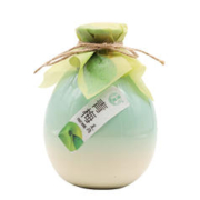 ZHE YI JIA WINE 浙一家 青梅味米酒500ml*1瓶果酒女士低度甜酒微醺女生酒