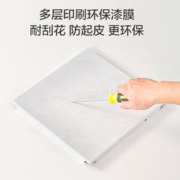 OPPLE 欧普照明 集成吊顶铝扣板