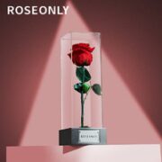 ROSEONLY 诺誓 永生玫瑰花经典系列 为爱而生花盒 单枝