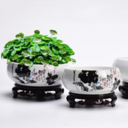 铜钱草花盆水培专用无孔中国风陶瓷大号碗莲睡莲盆缸水仙特价清仓