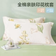 BEYOND 博洋 全棉枕套一对装纯棉枕头套对装学生宿舍卡通枕套