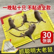 博佳胜 粘鼠板 5张