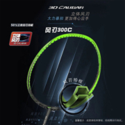 李宁（LI-NING）羽毛球拍风刃300C全碳素3u力量进攻型单拍AYPP014-1 灰绿 (空拍）